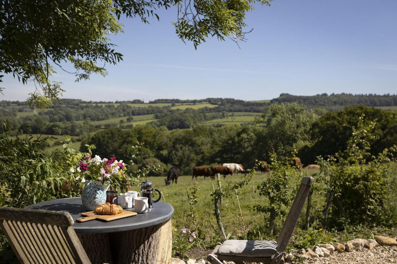 Villa Meadow Barn à Axminster Extérieur photo